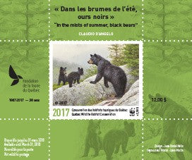 2017 In the mists of summer, black bears by Claudio D’Angelo