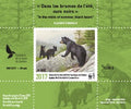 2017 Dans les brumes de l’été, ours noirs de Claudio D’Angelo