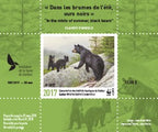 2017 In the mists of summer, black bears by Claudio D’Angelo