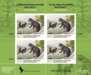 2017 In the mists of summer, black bears by Claudio D’Angelo