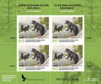 2017 In the mists of summer, black bears by Claudio D’Angelo