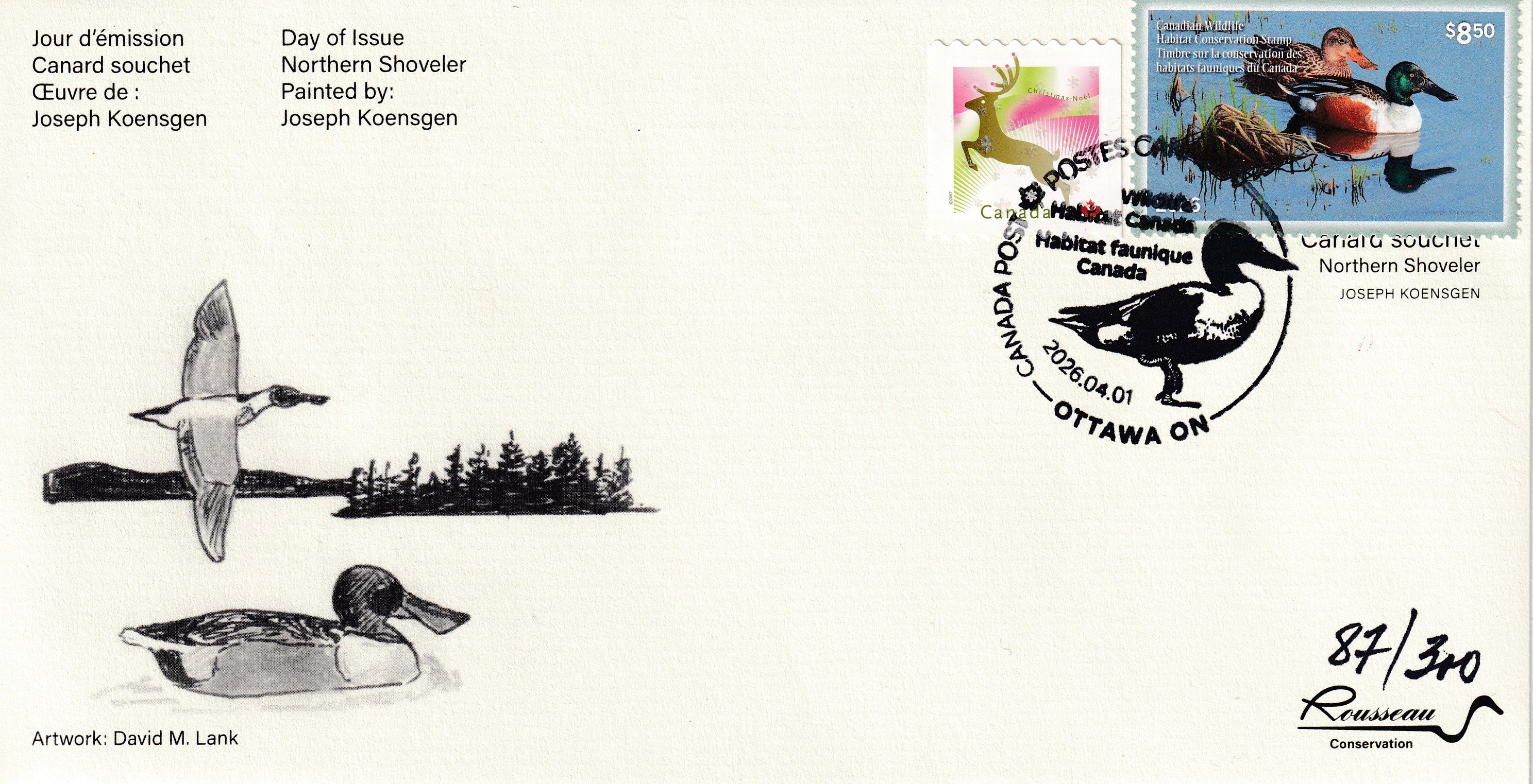 2026 Evening Reflections - Northern Shoveler  -  Joseph Koensgen