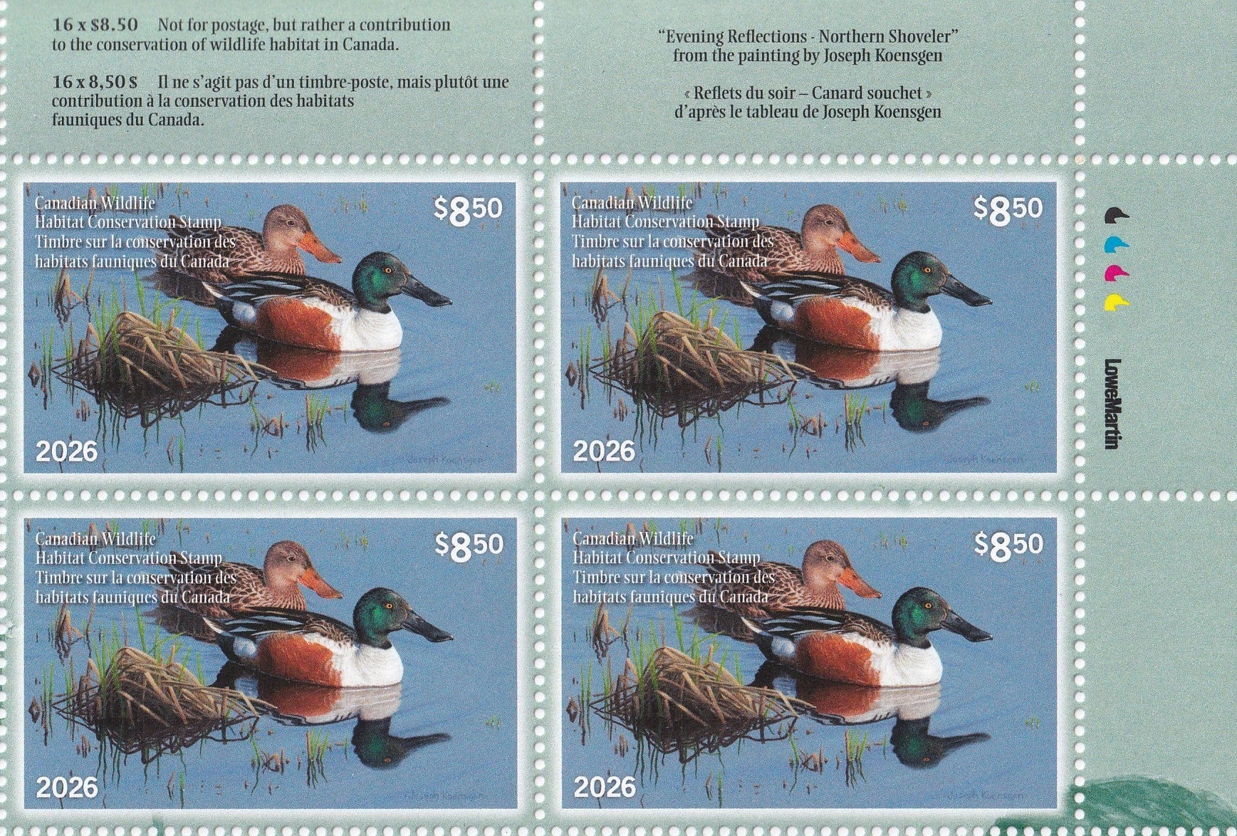 2026 Evening Reflections - Northern Shoveler  -  Joseph Koensgen