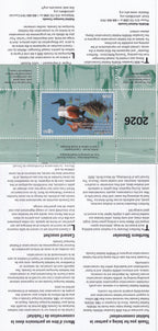 2026 Reflet du soir - Canard souchet  -  Joseph Koensgen