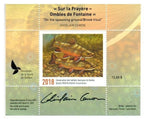 2018 Sur la Frayère – Ombles de Fontaine de Ghislain Caron