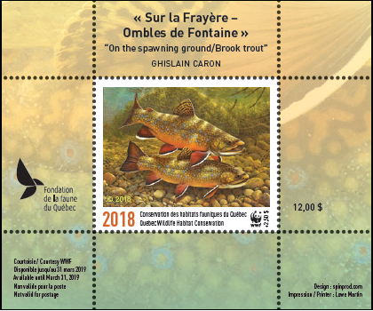 2018 Sur la Frayère – Ombles de Fontaine de Ghislain Caron