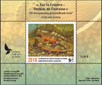 2018 Sur la Frayère – Ombles de Fontaine de Ghislain Caron