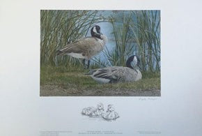 2017 Tranquil Waters – Canada Geese by Angela Lorenzen
