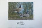 2017 Tranquil Waters – Canada Geese by Angela Lorenzen