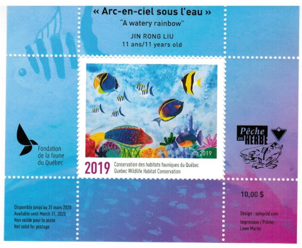 CARNET JUNIOR COLLECTION COMPLÈTE FFQ  2018-2026 (9)