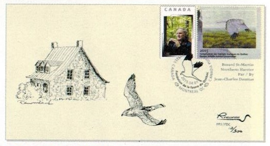 2015 Busard Saint-Martin par Jean-Charles Daumas