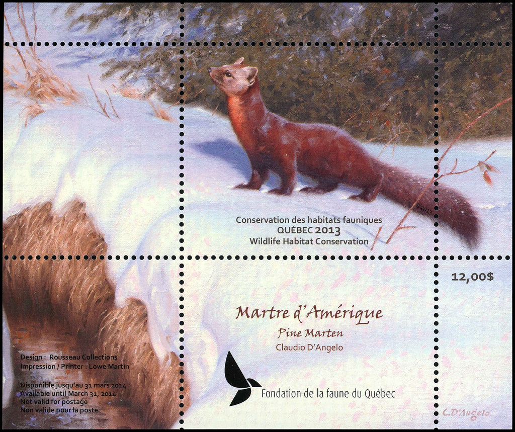 2013 Pine Marten, by Claudio D’Angelo