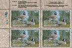 2017 Tranquil Waters – Canada Geese by Angela Lorenzen