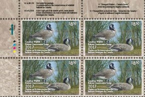 2017 « Tranquillité au bord de l’eau – Bernaches du Canada » d’après le tableau d’Angela Lorenzen