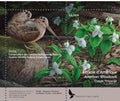 2014 American Woodcox, by Claude Thivierge
