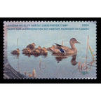 2004 Canards colvert de Michele Clarkson