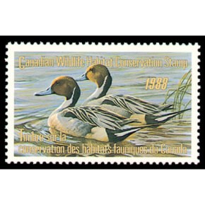 1988 Canards pilets de Robert Bateman