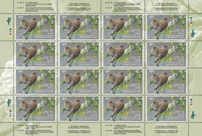 2015 Tourterelles tristes par W. Allan Hancock