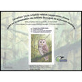 2012 Youth - Curious Visitor by Cartson Visser, ON