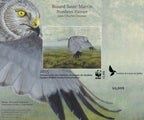 2015 Northern Harrier by Jean-Charles Daumas