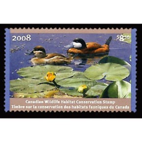 2008 Érismatures rousses de Patricia Pépin