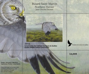 2015 Northern Harrier by Jean-Charles Daumas
