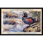 2001 Arlequin de Gary Pulham