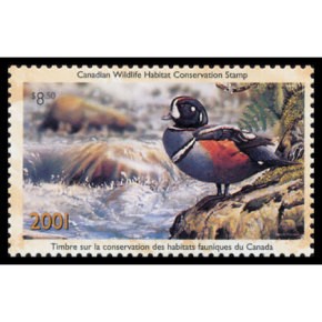 2001 Arlequin de Gary Pulham