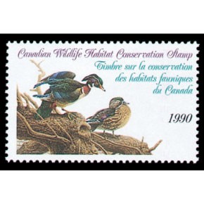 1990 Canards huppés de Michael Dumas