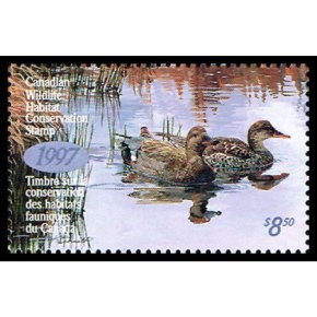 1997 Canards chapeaux de Kerri Burnett