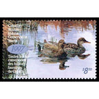 1997 Canards chapeaux de Kerri Burnett