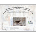 2011 Youth - Au creux des bois de Bethany Harris, AB