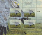 2015 Northern Harrier by Jean-Charles Daumas