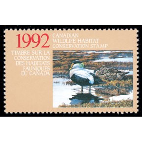1992 Eider à duvet de Brenda Carter