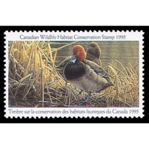 1995 Red-headed Morillons by Pierre Leduc