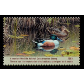 2003 Canard Souchet de Patrice Wolput