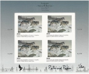 2016 Loup gris - Patricia Pépin