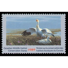 1989 Oies blanches de Jean-Luc Grondin