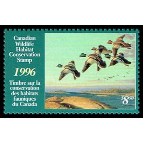 1996 Garrot à oeil d’or de Dwayne Harty