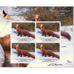 2013 Pine Marten, by Claudio D’Angelo