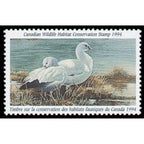 1994 Oies de Ross de Alan Sakhavarz