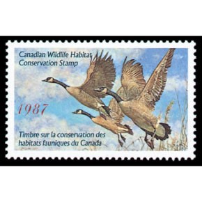 1987 Bernaches du Québec de George McLean