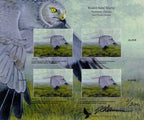 2015 Northern Harrier by Jean-Charles Daumas