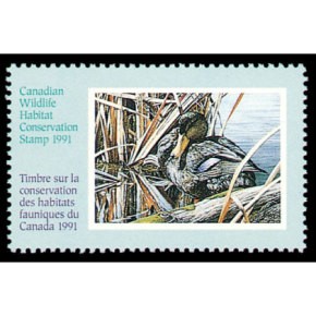 1991 Canards noirs de Chris Bacon