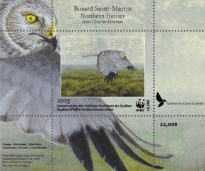 2015 Northern Harrier by Jean-Charles Daumas