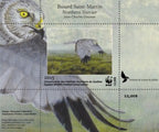 2015 Northern Harrier by Jean-Charles Daumas