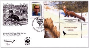 2013 Martre d’Amérique par Claudio D’Angelo