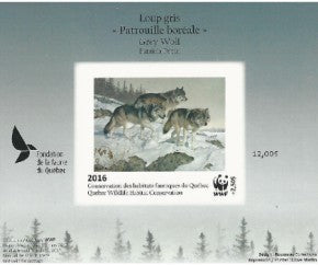 2016 grey Wolf - Patricia Pépin
